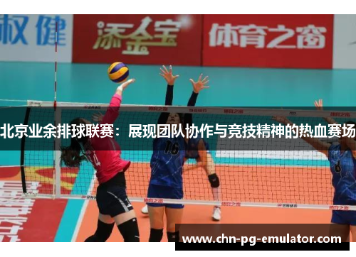 北京业余排球联赛:展现团队协作与竞技精神的热血赛场 北京业余排球联赛:展现团队协作与竞技精神的热血赛场