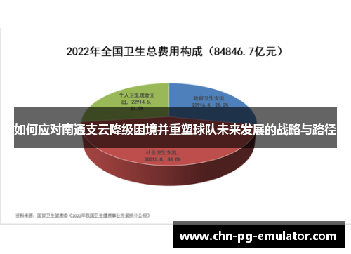 如何应对南通支云降级困境并重塑球队未来发展的战略与路径 如何应对南通支云降级困境并重塑球队未来发展的战略与路径