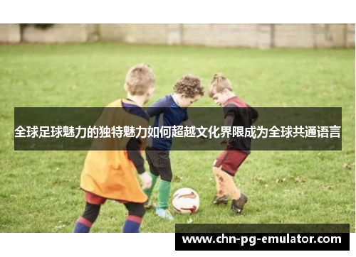 全球足球魅力的独特魅力如何超越文化界限成为全球共通语言 全球足球魅力的独特魅力如何超越文化界限成为全球共通语言