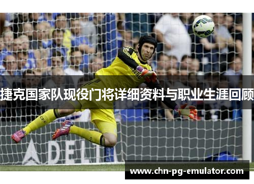 捷克国家队现役门将详细资料与职业生涯回顾 捷克国家队现役门将详细资料与职业生涯回顾