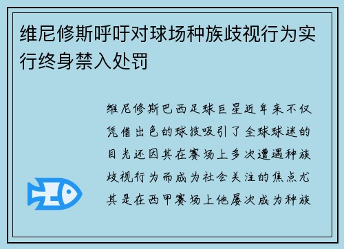 维尼修斯呼吁对球场种族歧视行为实行终身禁入处罚